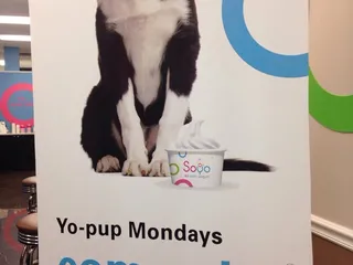 SOYO  So Your Yogurt