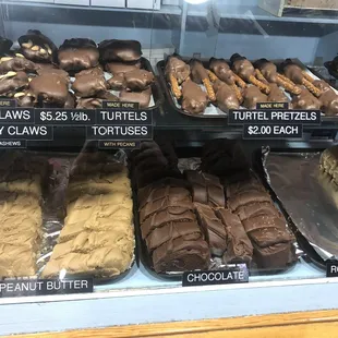 Fudge and turtles
