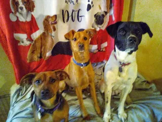 Fish Bowl Bar and Grill