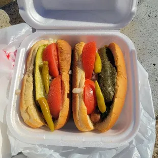 Mr. Genes - Two Chicago Style Hot Dogs, all the way - absolute perfection!