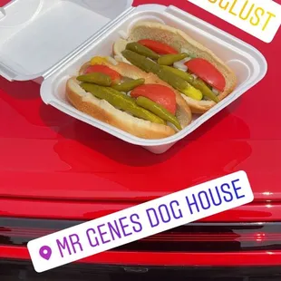 Chicago Dogs!!