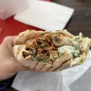 a hand holding a pita