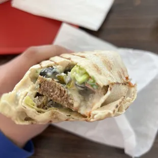 a hand holding a pita