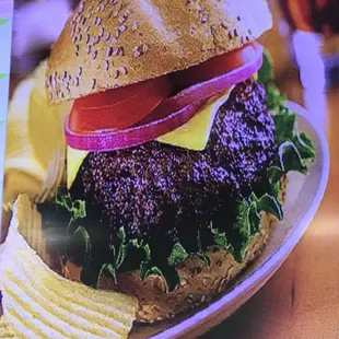 Angus cheeseburger sandwich