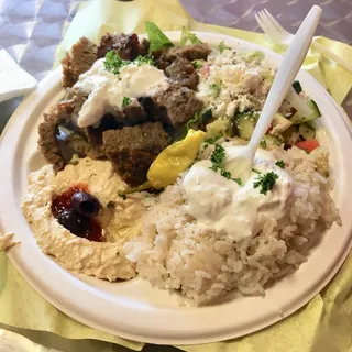 Gyro Plate