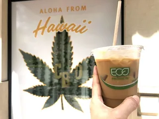 Hemptuary Hawaii-Waikiki