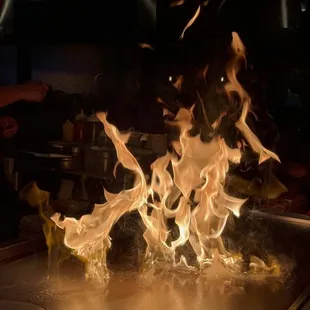 oysters and mussels, interior