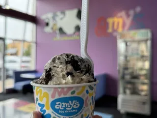 Amy's Ice Creams