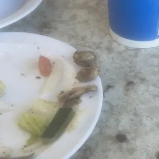 Multiple pieces of fatty shawarma plate