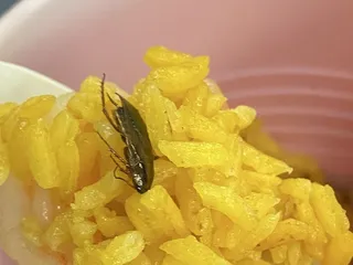 Shun Xin Chinese Restaurant