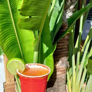 Mango chelada, $6 something. Very refreshing.