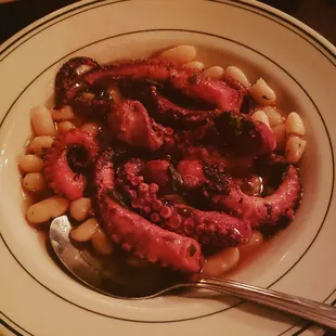 Octopus Soup