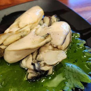 Oysters in olive oil