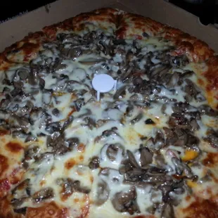 Large X-Cheese, pep, mushroom pizza!