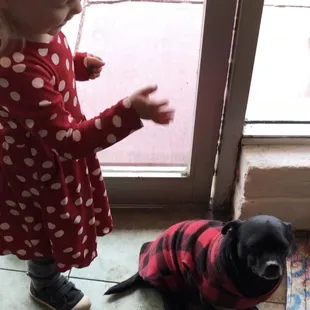 Saying goodbye to Taz - until next time.