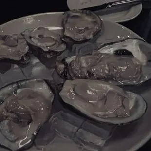 Oysters