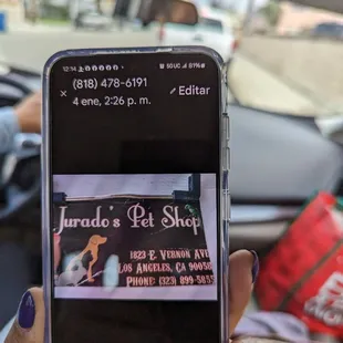 a person holding a cell phone