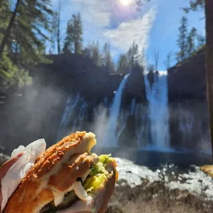 Big Jake at Burney Falls