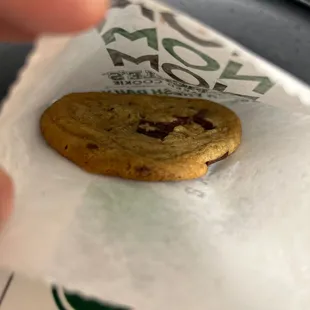 Chocolate Chip Cookie