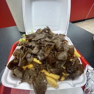 Gyro plate with fries