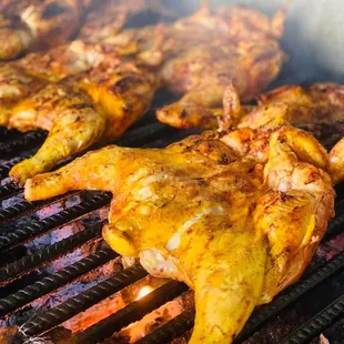 Mr Pollo
