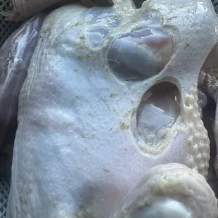 a raw chicken in a basket