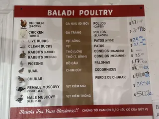 Baladi Poultry
