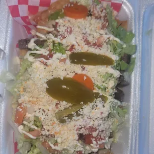 Asada Nachos