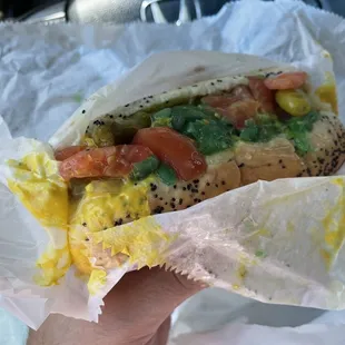 Chicago dog