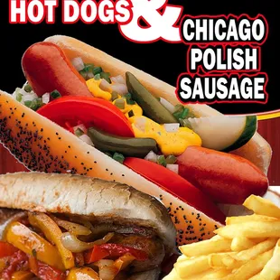 a hot dog and french fries