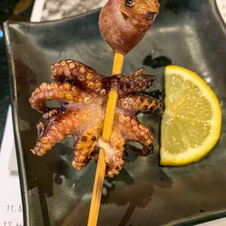 Octopus (2 pcs)