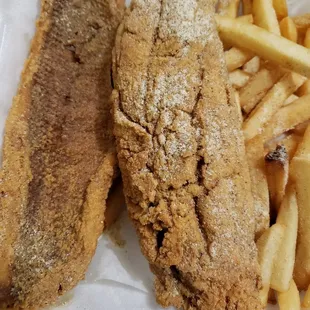 Red Snapper
