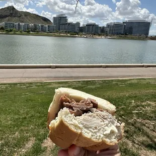 6&quot; Turkey, Roast Beef