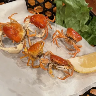 mussels, shellfish, oysters and mussels, oysters, food