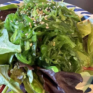 Seaweed Salad