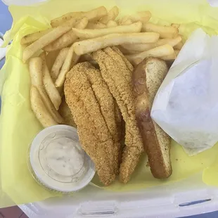 fish and chips, fish, seafood, food