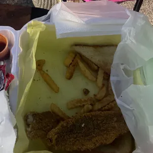 Catfish &amp; fries
