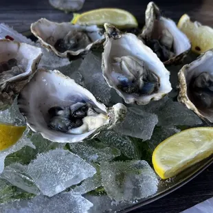 a platter of oysters on ice