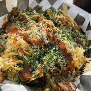 Birria Fries