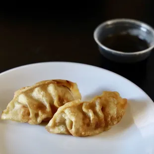 Fried Dumplings