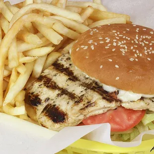 Grilled Chicken sandwich &amp; Fries