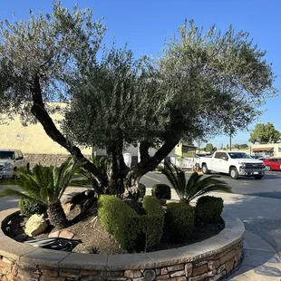 Outside front entrance
