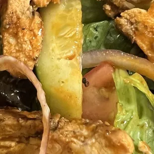 A spider in my Buffalo Chicken Salad!