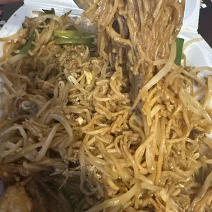 Pan stir fried noodle