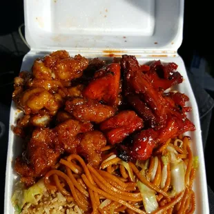 BBQ chicken and spicy chicken with rice and chow mein  excellent
