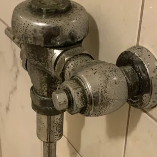 Mold in the bathroom