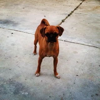 Lupe S.
