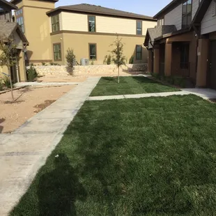 the front yard of a home