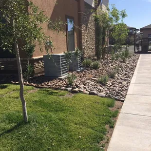 Desert pass apartments new landscape and irrigation