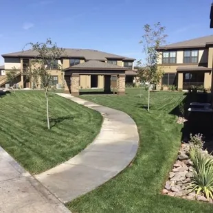 a view of the front yard of a home